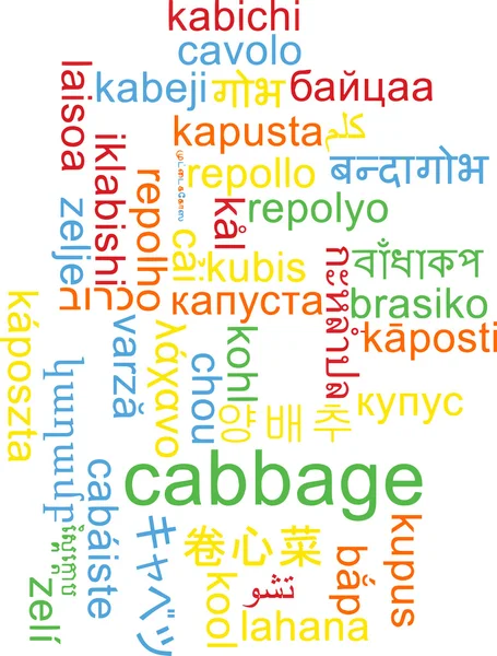 Zelí vícejazyčné wordcloud pozadí koncepce — Stock fotografie