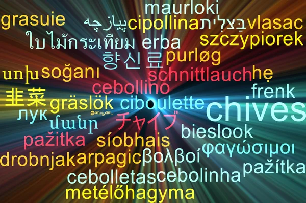 Ciboulette multilingue wordcloud concept de fond lumineux — Photo