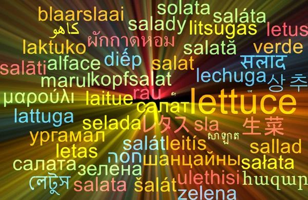 Lettuce multilanguage wordcloud background concept glowing — Stock Photo, Image