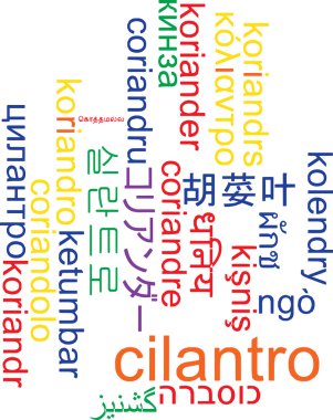 Salantro çoklu dil wordcloud arka plan kavramı