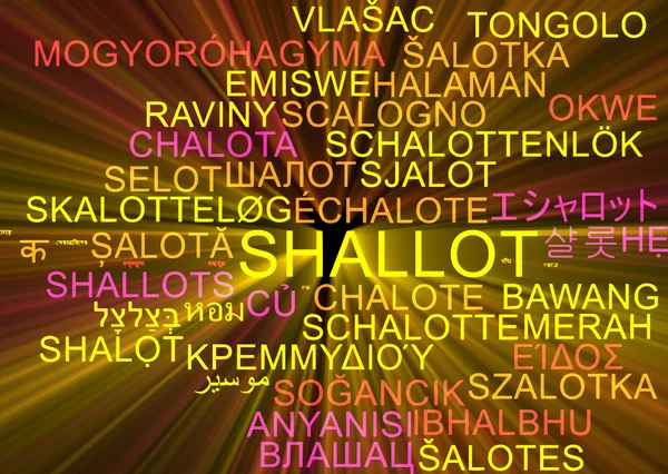 Shallot multilanguage wordcloud background concept glowing — Stock Photo, Image