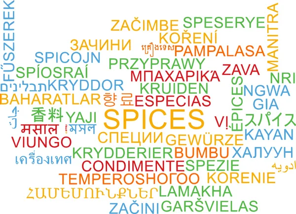 Koncept pozadí vícejazyčné wordcloud koření — Stock fotografie