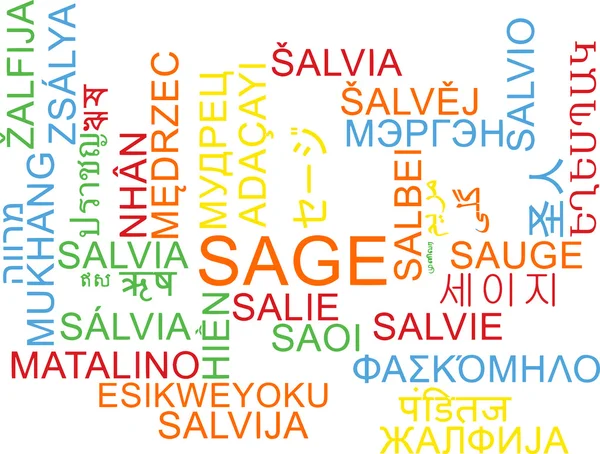 Sage multilanguage wordcloud background concept — Stock Photo, Image