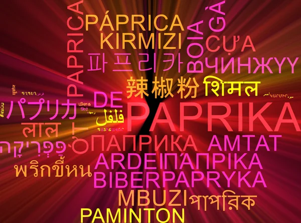 Paprika multilanguage wordcloud background concept glowing — Stock Photo, Image