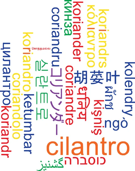 Cilantro multilanguage wordcloud background concept — Stock Photo, Image