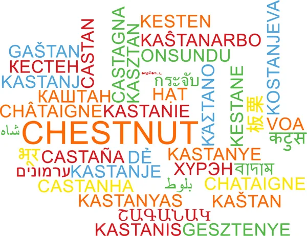 Kaštanové vícejazyčné wordcloud pozadí koncepce — Stock fotografie