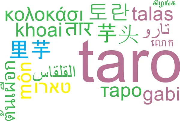 Taro multilanguage wordcloud background concept — Stock Photo, Image