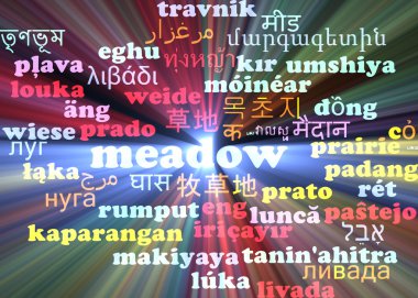 Parlayan çayır birden çok dil wordcloud arka plan kavramı