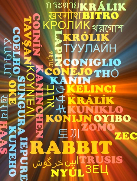 Králík vícejazyčné wordcloud pozadí koncepce zářící — Stock fotografie