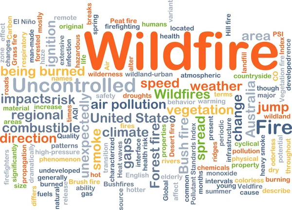Wildfire background concept — Stock Photo, Image