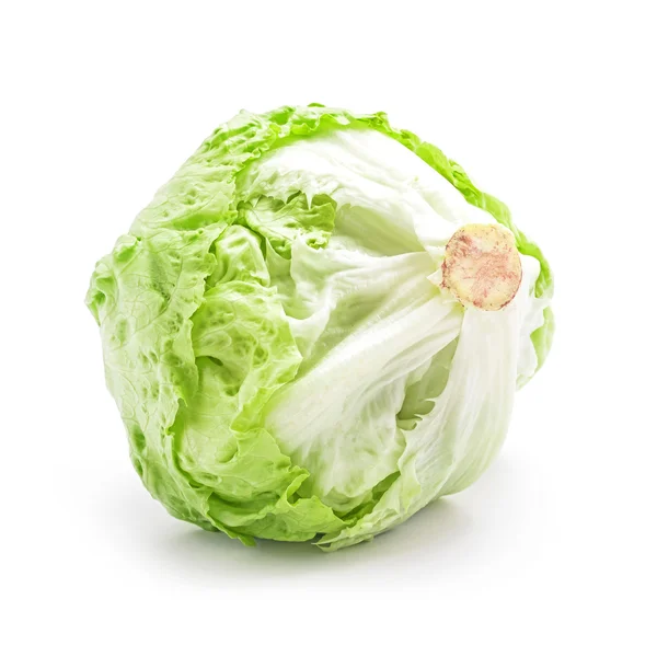 Cap de salată izolat — Fotografie, imagine de stoc
