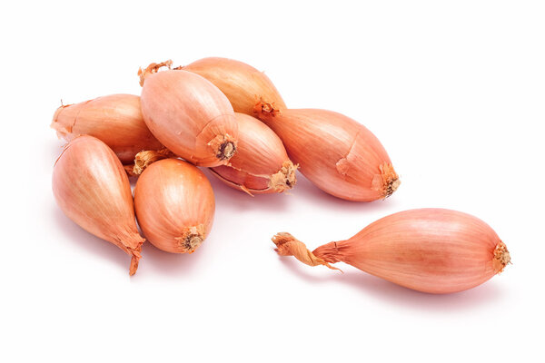 shallot onions isolated