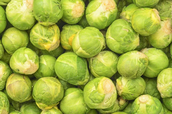 Brussel cabbage texture — Stock Photo, Image