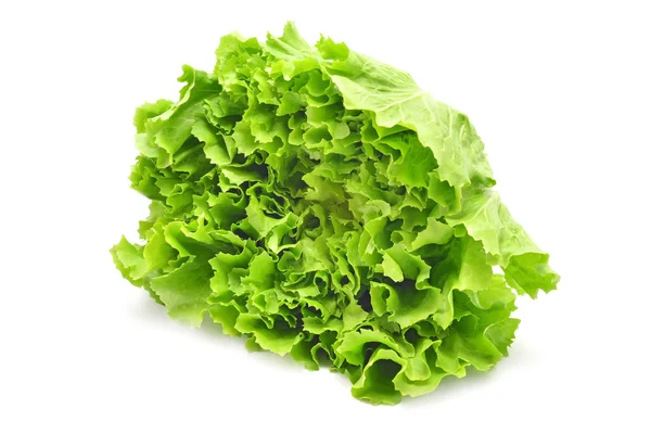 Salat isoliert — Stockfoto