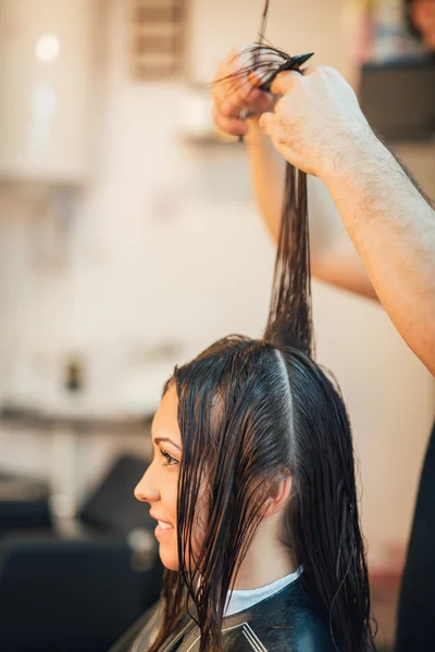 En la peluquería — Foto de Stock