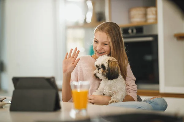 Shot Beautiful Teenage Girl Sitting Her Cute Dog Making Video — Stock fotografie