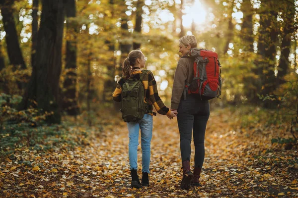 Zadní Pohled Záběr Dospívající Dívka Její Matka Kráčející Spolu Lesem — Stock fotografie
