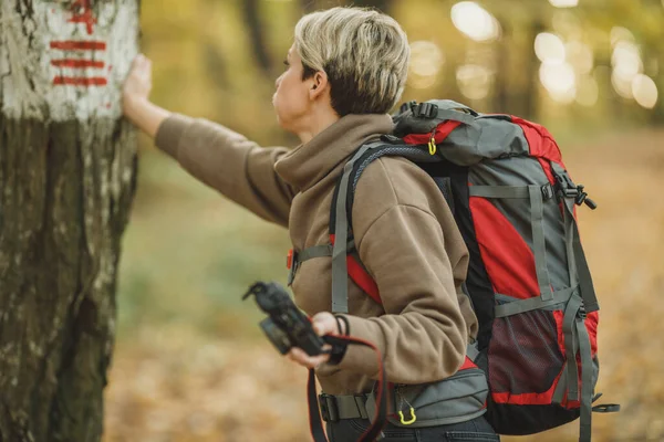 秋の森の散策中に木の上にハイキングコースの標識を使って心配している熟女のショット — ストック写真