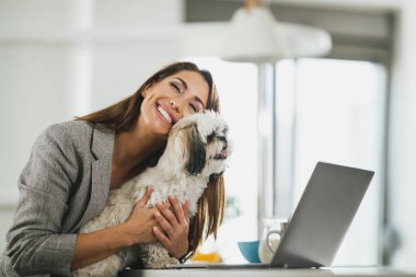 Genç bayan serbest çalışan evcil köpeğiyle oturuyor ve işten eve gelirken laptopunu kullanıyor..