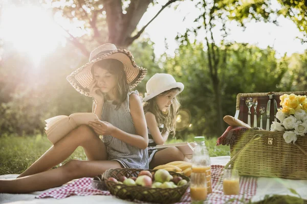 Duas Irmãs Bonitas Lendo Livros Natureza Desfrutando Dia Piquenique — Fotografia de Stock