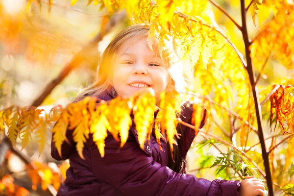 Herbst im Park — Stockfoto