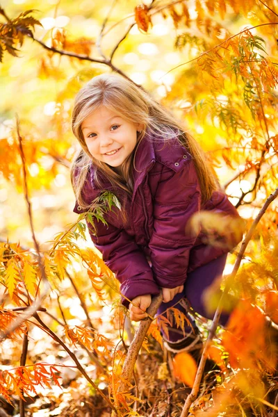 Herbst im Park — Stockfoto