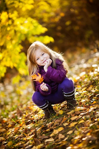 Herbst im Park — Stockfoto