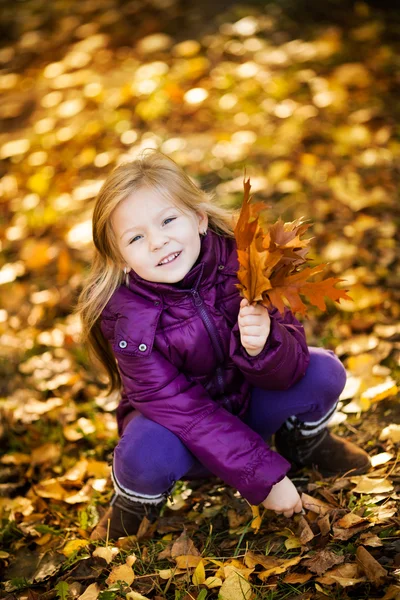 Autumn in the park — Stock Photo, Image