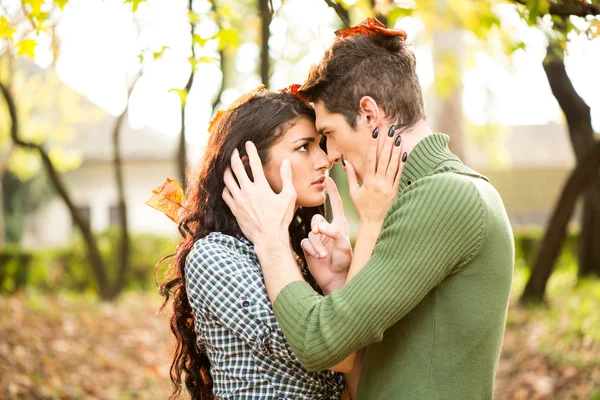 Autumn Love — Stock Photo, Image