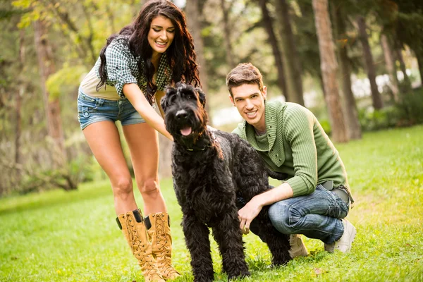 Pareja joven con Schnauzer — Foto de Stock