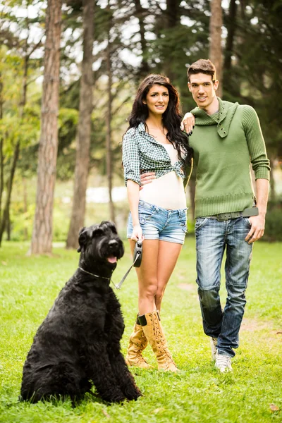 Handsome Couple With Dog — Stock Photo, Image