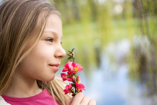 A minha primavera — Fotografia de Stock