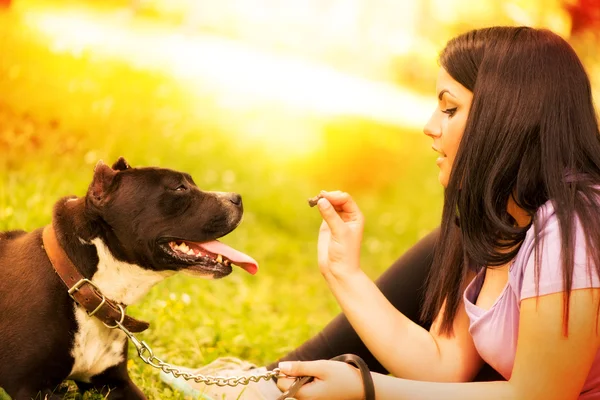 女の子と犬 — ストック写真