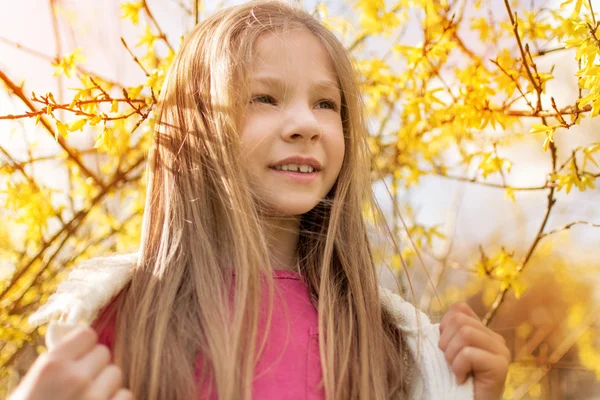 Springtime — Stock Photo, Image