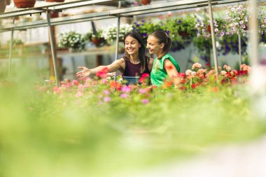 İki çiçekçi çiçeklerle ilgili konuşup duruyor..