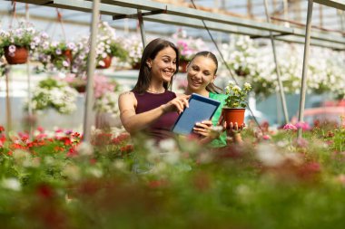 İki neşeli kadın güneşli bir seranın içinde çiçeklerle dolu canlı bir bahçenin keyfini çıkarıyorlar...