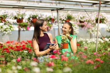 İki neşeli kadın güneşli bir seranın içinde çiçeklerle dolu canlı bir bahçenin keyfini çıkarıyorlar...