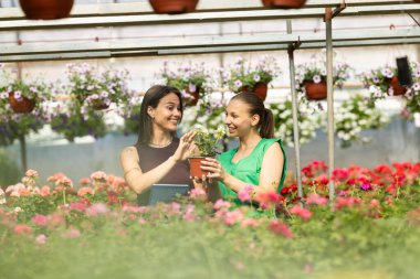 İki çiçekçi çiçeklerle ilgili konuşup duruyor..