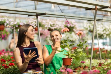 İki çiçekçi çiçeklerle ilgili konuşup duruyor..