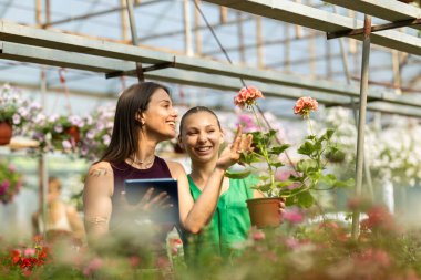 İki neşeli kadın güneşli bir seranın içinde çiçeklerle dolu canlı bir bahçenin keyfini çıkarıyorlar...