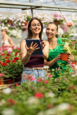 İki neşeli kadın güneşli bir seranın içinde çiçeklerle dolu canlı bir bahçenin keyfini çıkarıyorlar...