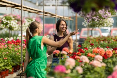 İki kadın bir serada çiçek ve bitkiler hakkında konuşuyor..
