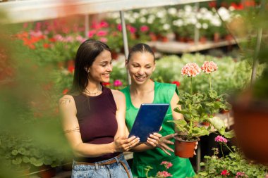 İki çiçekçi çiçeklerle ilgili konuşup duruyor..