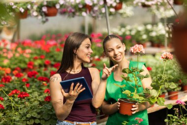 İki neşeli kadın güneşli bir seranın içinde çiçeklerle dolu canlı bir bahçenin keyfini çıkarıyorlar...