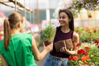 Mutlu ve gülümseyen müşteri seradan çiçek alıyor..