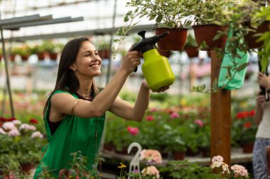 Neşeli kadın çiçekçisindeki sallanan bitkilerin üzerine su sıkıyor..