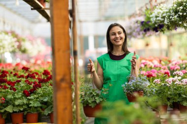 Mutlu ve neşeli genç bir kadın yeşil önlük giyiyor ve saksıda asılı bitkilere hayran..