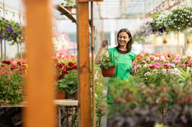 Mutlu ve neşeli genç bir kadın yeşil önlük giyiyor ve saksıda asılı bitkilere hayran..