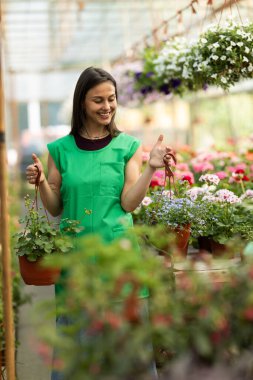 Mutlu ve neşeli genç bir kadın yeşil önlük giyiyor ve saksıda asılı bitkilere hayran..