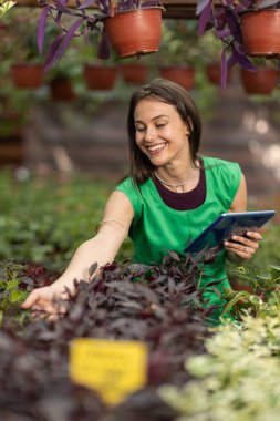 Tabletini kullanırken çiçekçide çalışan neşeli bir kadın..